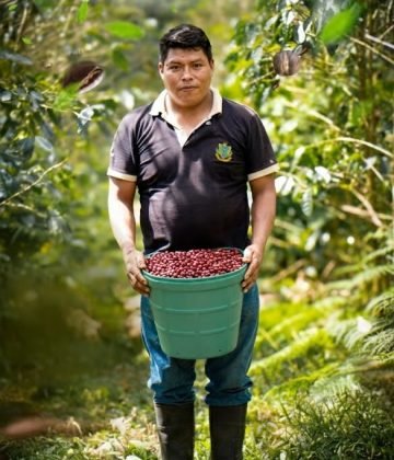 productor de kumpirushiato